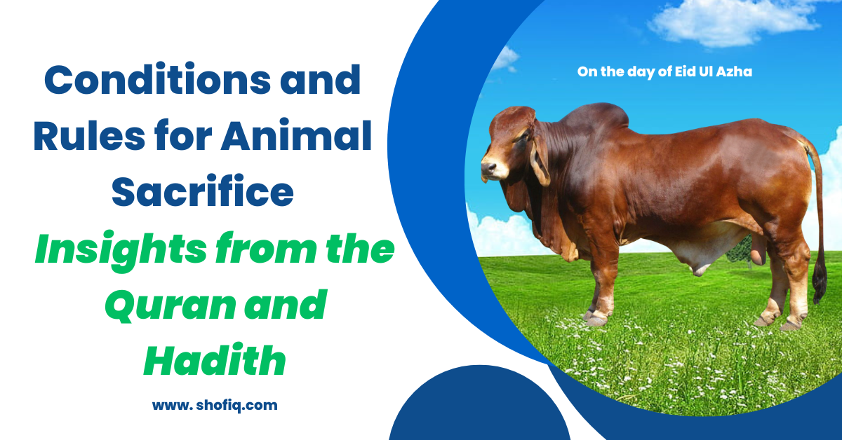 Rules and Regulations of Animal Sacrifice on the Occasion of Eid-ul-Adha