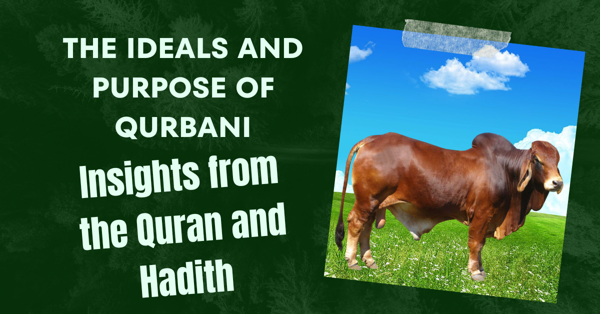 The Ideals and Purpose of Qurbani Insights from the Quran and Hadith